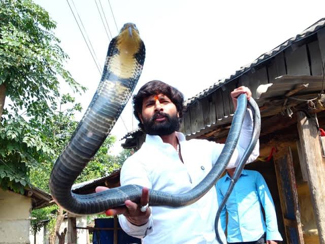 Murliwale Hausla : সাপের দংশনে ভর্তি হাসপাতালে