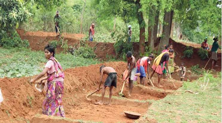 MGNREGA Scheme Calcutta High court Verdict West Bengal