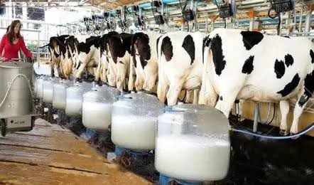 Non veg milk